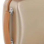 Violinen Etui Pure Gold und Silber