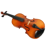 Violine Seng Set