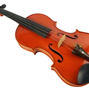 Violine Meister Sets