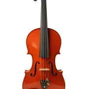 Violine Meister Sets