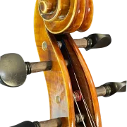 Golden Cello