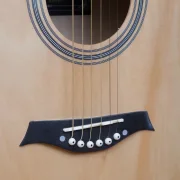 Guitar Celio