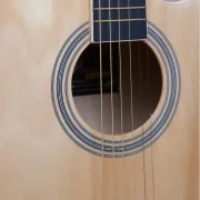 Guitar Celio