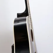 Accoustic Guitar Seng