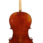 Golden Cello Calla-Lily Sets
