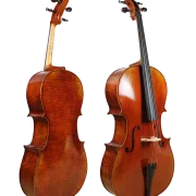 Golden Cello Calla-Lily Sets