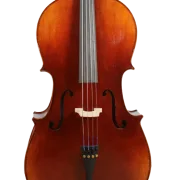 Golden Cello Fuchsia Sets