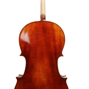 Golden Cello Fuchsia Sets