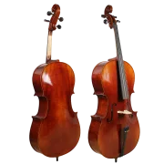 Golden Cello Fuchsia Sets