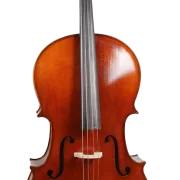 Golden Cello Fuchsia Sets