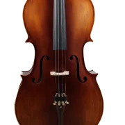 Golden Cello Marigold Sets