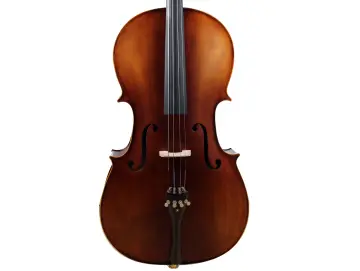 Golden Cello Marigold Sets