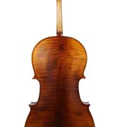 Golden Cello Marigold Sets