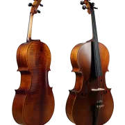 Golden Cello Marigold Sets