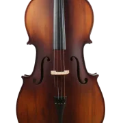 Golden Cello Narzisse Sets