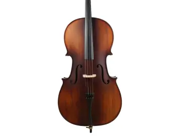 Golden Cello Narzisse Sets