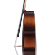 Golden Cello Narzisse Sets