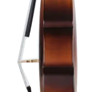 Golden Cello Narzisse Sets