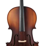 Golden Cello Narzisse Sets