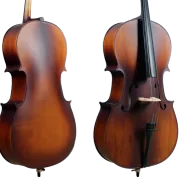 Golden Cello Narzisse Sets