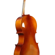 Golden Cello Orchidee Sets