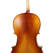 Golden Cello Peony Sets