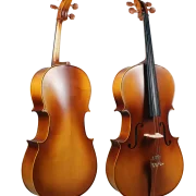 Golden Cello Peony Sets