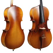 Golden Cello Peony Sets