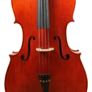 Golden Cello Rose Sets