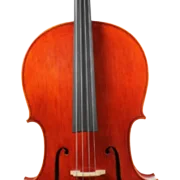 Golden Cello Rose Sets