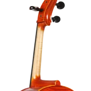 Golden Cello Rose Sets