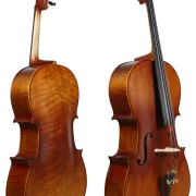 Golden Cello easy2