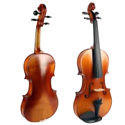 Violine Golden Musik Seng