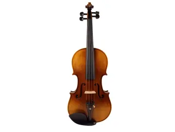 Golden Musik Violin Bonemerse