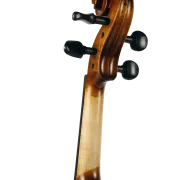 Violine Golden Musik Bolzano
