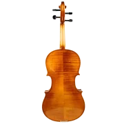 Violine Golden Musik Celio
