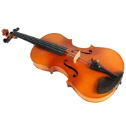 Violine Golden Musik Celio