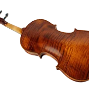 Violine Golden Musik Marino