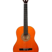 Guitar Leonidas