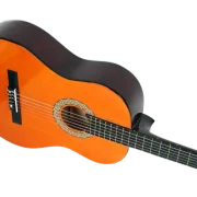 Guitar Leonidas