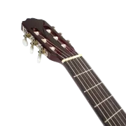 Guitar Leonidas