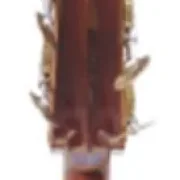 Kontrabass Professionelles