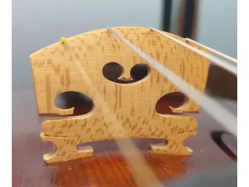 Neuer Steg für Viola