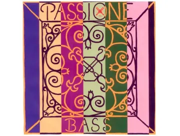 Passione Saite für Violine