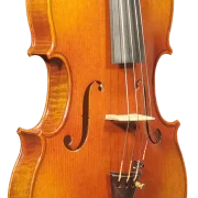 Viola 01