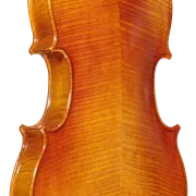 Viola 01