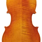 Viola 01