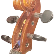 Viola 01
