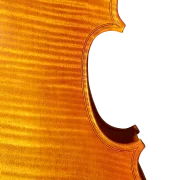 Viola 01