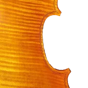 Viola 01